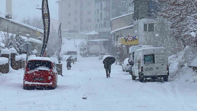 Karlıova'da kar yağışı başladı