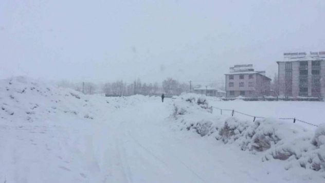 Karlıova'da kar yağışı etkili oldu