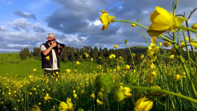 Kars'ın yüksek kesimleri rengarenk çiçeklerle kaplandı