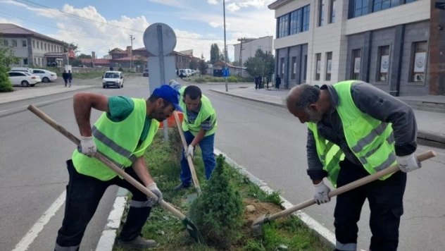 Kars'ta belediye park ve bahçelere fidan dikiyor