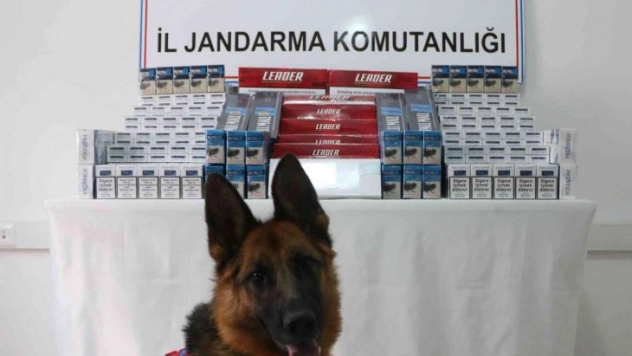 Kars'ta kaçak sigara ele geçirildi