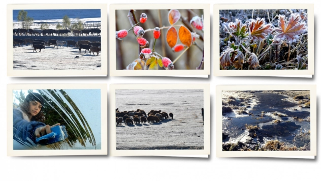 Kars'ta kar yağışıyla köyler beyaza büründü