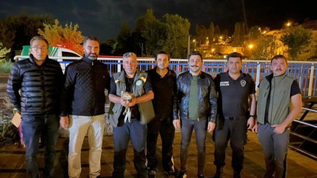 Kars'ta kızıl şahin tedavi altına alındı