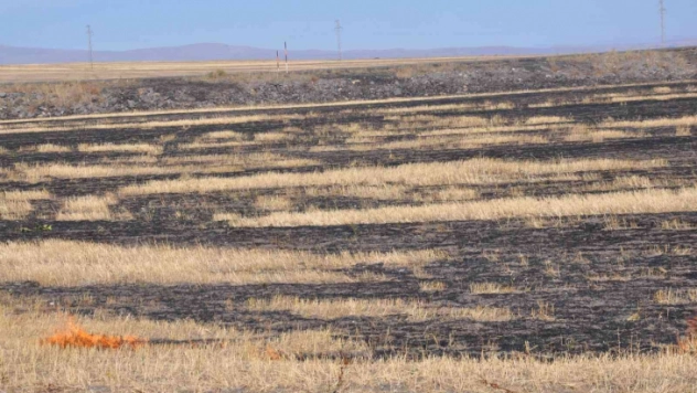Kars'ta örtü yangını