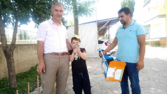 Kars'ta yaralı Kerkenez tedavi altına alındı