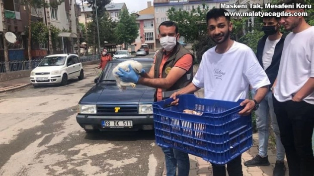 Kartal yavruları emin ellerde
