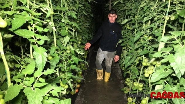 Kaş'ta sağanak yağmur sebebiyle seraları su bastı