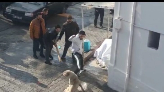 Kavgada gözü dönen köpeklere tekmeli müdahale