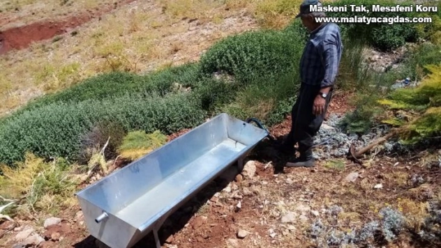 Kavurucu sıcaklarda yaban hayvanları unutulmadı