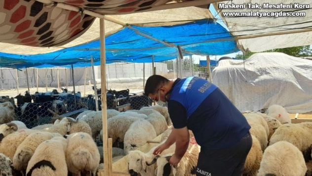 Kayapınar Belediyesi kurbanlık denetimi için sahaya indi