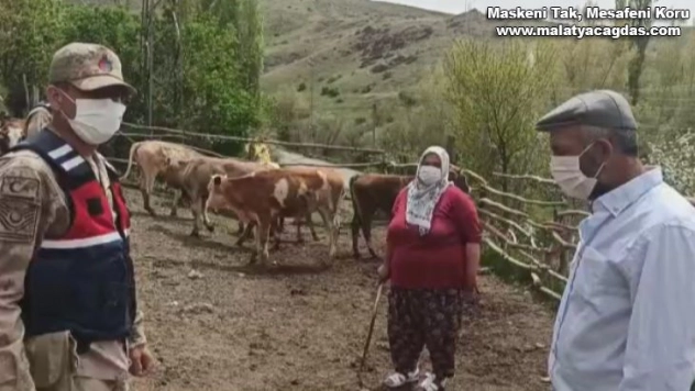 Kaybolan sürüyü jandarma buldu