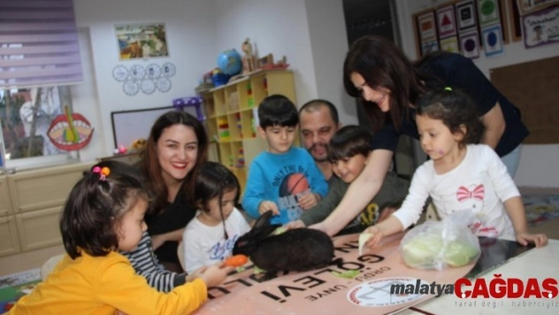 Kayıp tavşanı minikler sahiplendi