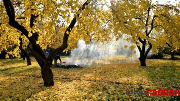 Kayısı ağaçlarında sonbahar uyarısı