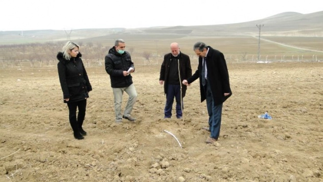 Kayısı fidanı üretimi 3 kat arttı