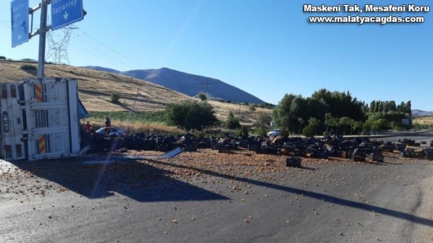Kayısı yüklü kamyon devrildi 1 ölü