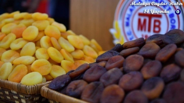 Kayısıda ilk 10 ayda 207 milyon dolar gelir