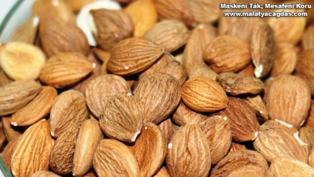 Kayısının çekirdeği da şifa deposu