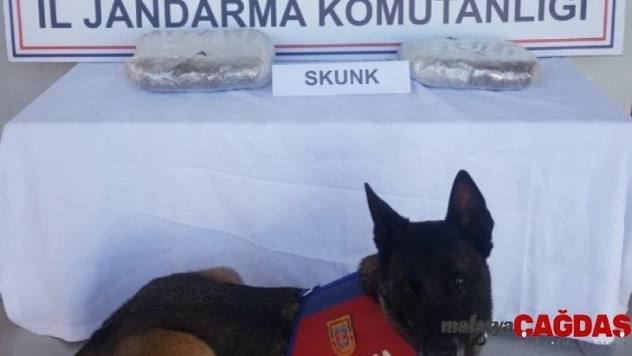 Kazakların içine sakladığı 150 bin TL değerinde uyuşturucuyla otobüste yakalandı