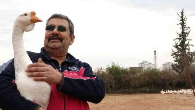 Kazın başkenti Kars'a kaz satıyor