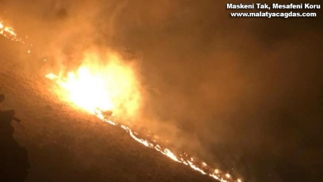 Keban'daki örtü yangını söndürüldü