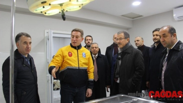 Kemerburgaz Sokak Hayvanları Rehabilitasyon Ünitesi açıldı