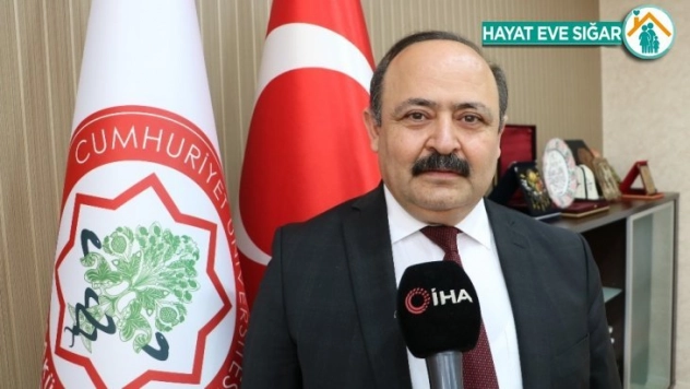 Kene, Kovid-19'u geride bıraktı