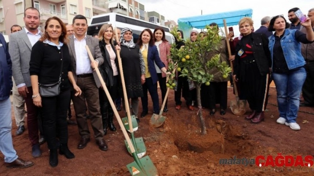 Kepez'de yeşil seferberliği