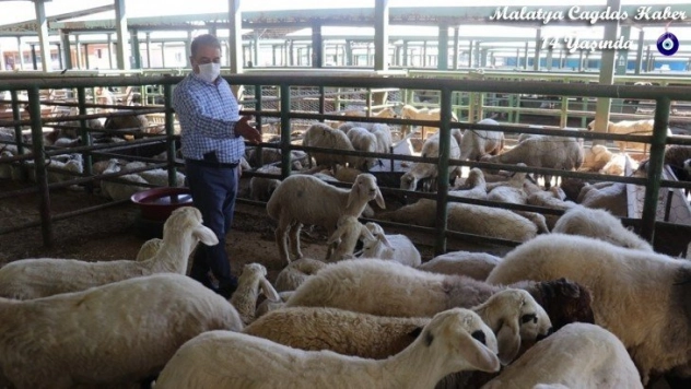 Keskin, hayvan pazarını ziyaret etti
