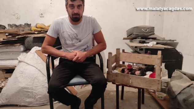 Kesmek için aldığı horoz kuluçkaya yattı, görenler gözlerine inanamadı