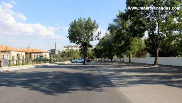 Kesmeye kıyamadıkları ağaç yol ortasında kaldı