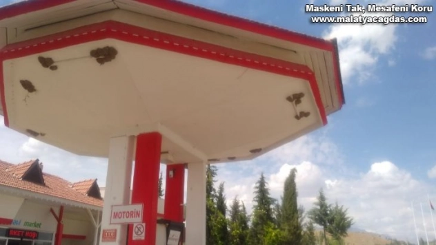 Kırlangıçlar akaryakıt istasyonunu mesken tuttu