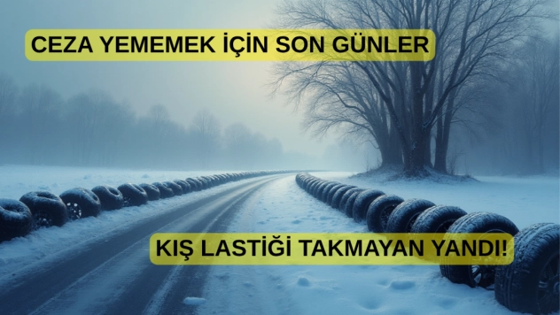 Kış Lastiği Zorunluluğu 15 Kasım'da Başlıyor