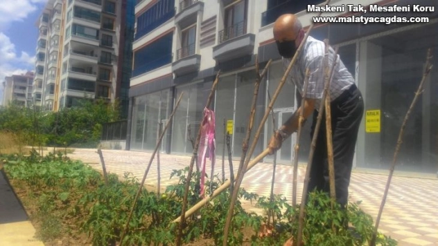 Kısıtlamayı fırsat bildi, apartman önünü hobi bahçesi yaptı