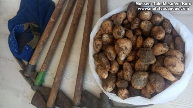 Kısıtlamayı ihlal edip, salep soğanı toplayan 5 kişi 419 bin 690 TL ceza yedi