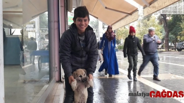 Kızıltepeli çocuk yiyeceğini sokak köpeği ile paylaştı