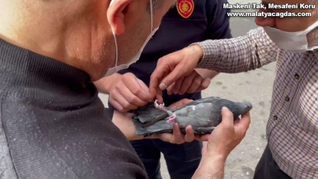 Klima motorunda mahsur kalan güvercin kurtarıldı