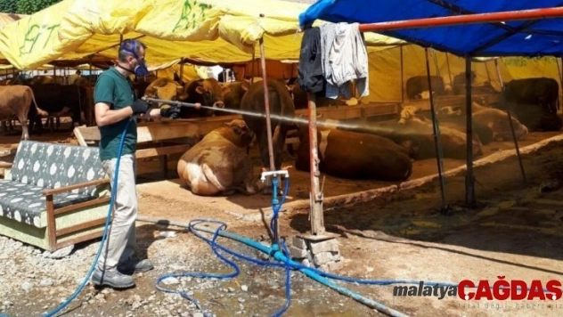 Kocaeli'de kurban satış yerleri ilaçlanıyor