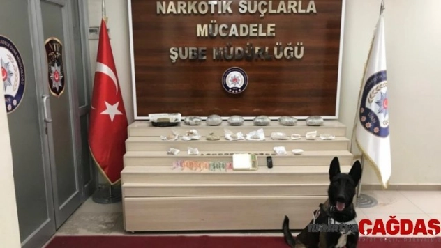 Kömürlükte gizlenen uyuşturucu maddeyi Zeus buldu