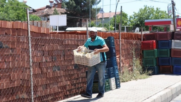 Konsantre kayısıda fiyat 90 kuruş oldu