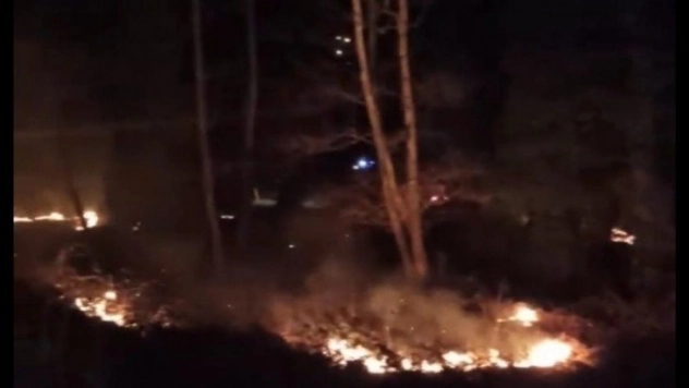 Kopan kablolar çalılığı tutuşturdu