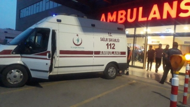 Köpeğe ateş ederken kuzenini öldürdü