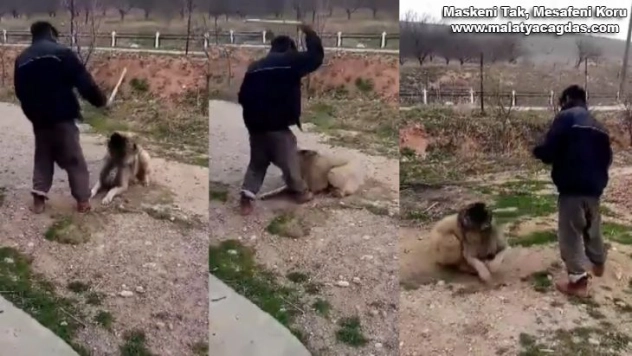 Köpeğini sopayla döven şahıs büyük tepki çekti
