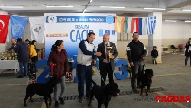 Köpek ırkları yarışması sona erdi