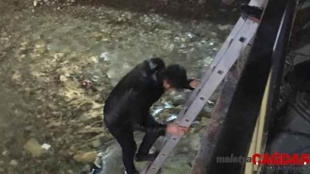 Köprüde mahsur kalan kediyi genç adam kurtardı