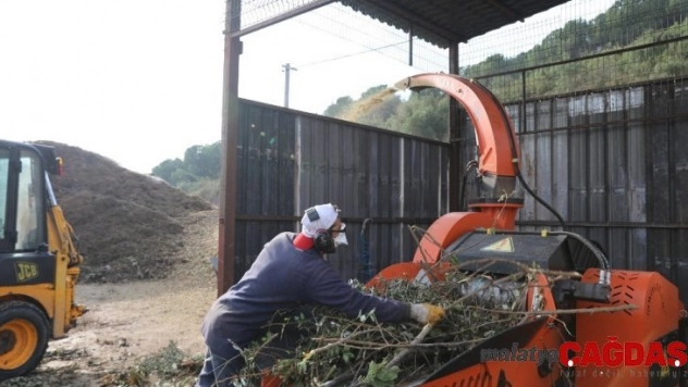 Körfez'de budanan dallar tekrar doğaya kazandırılıyor