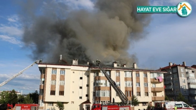 Korkutan yangını film izler gibi izlediler