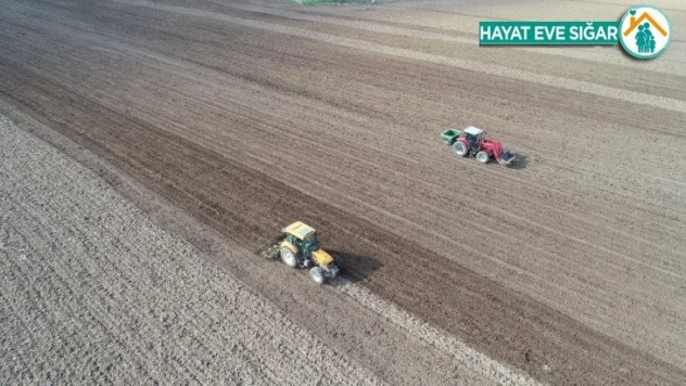 Korona tarımsal üretime engel olmadı