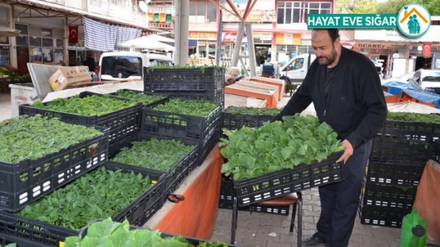 Korona virüs fide satışlarını da düşürdü