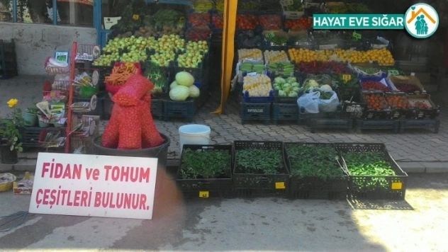 Korona virüs sürecinde sebze fidelerini dikme dönemi