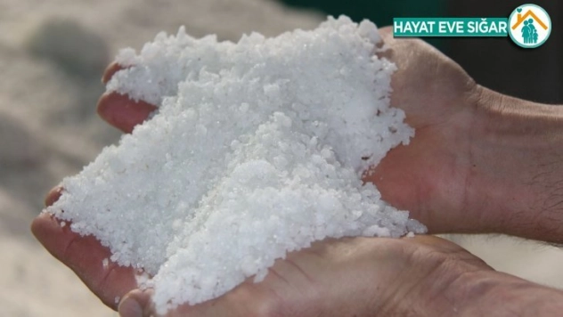 Korona virüs tuz satışlarını vurdu